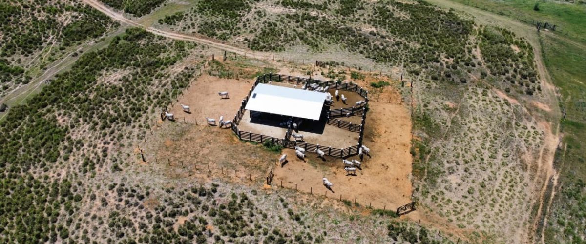 WhatsApp Image 2026-01-13 at 22.02.23 (1)