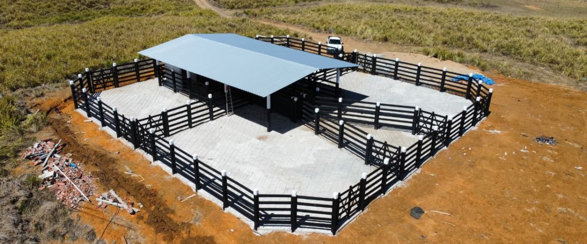 WhatsApp Image 2026-01-13 at 22.03.16 (1)