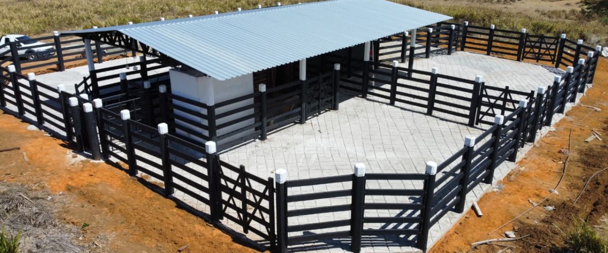 WhatsApp Image 2026-01-13 at 22.03.16