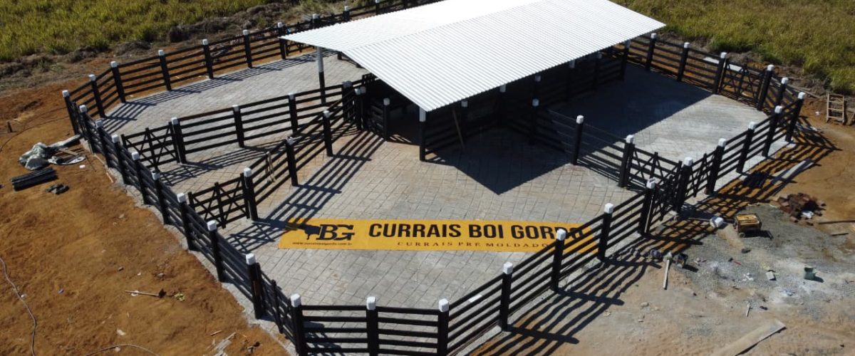 WhatsApp Image 2026-01-13 at 22.03.17