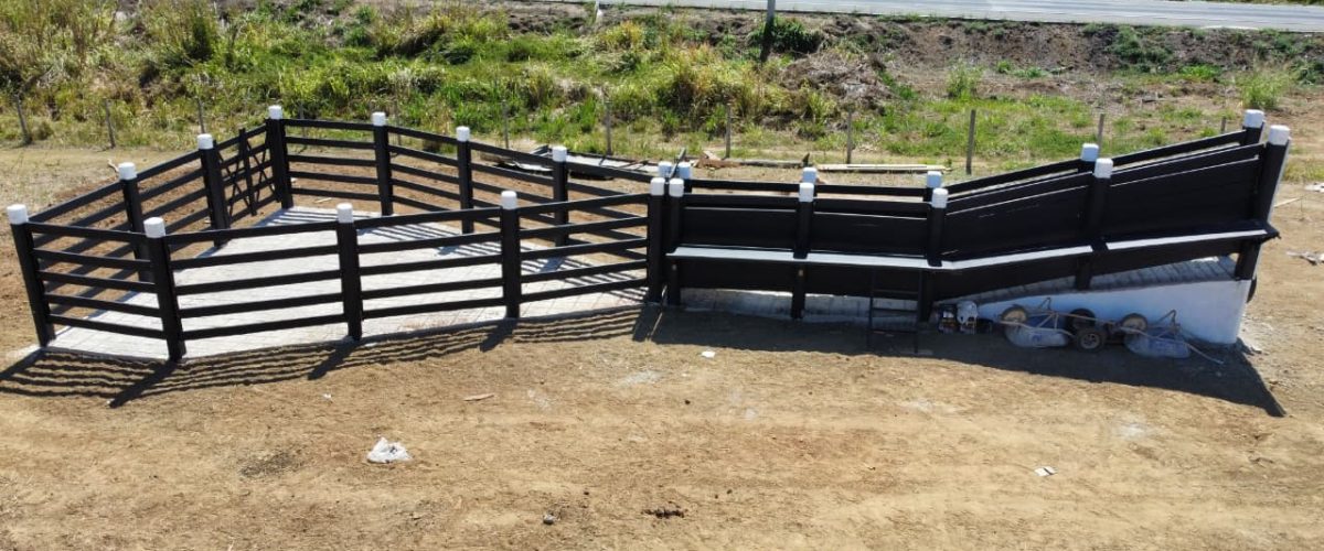 WhatsApp Image 2026-01-14 at 16.05.04