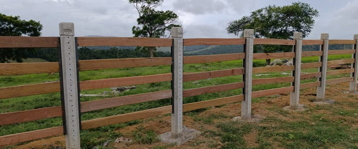 WhatsApp Image 2026-01-21 at 13.33.12