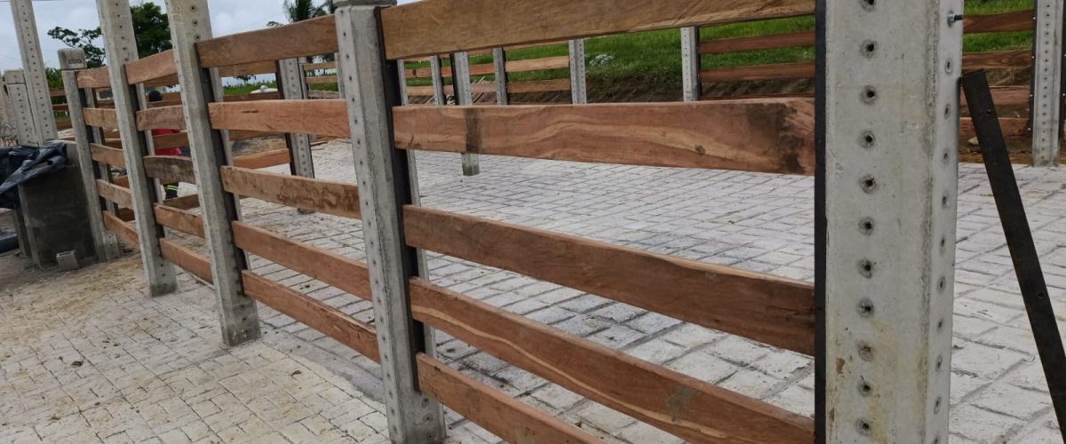 WhatsApp Image 2026-01-21 at 13.33.25