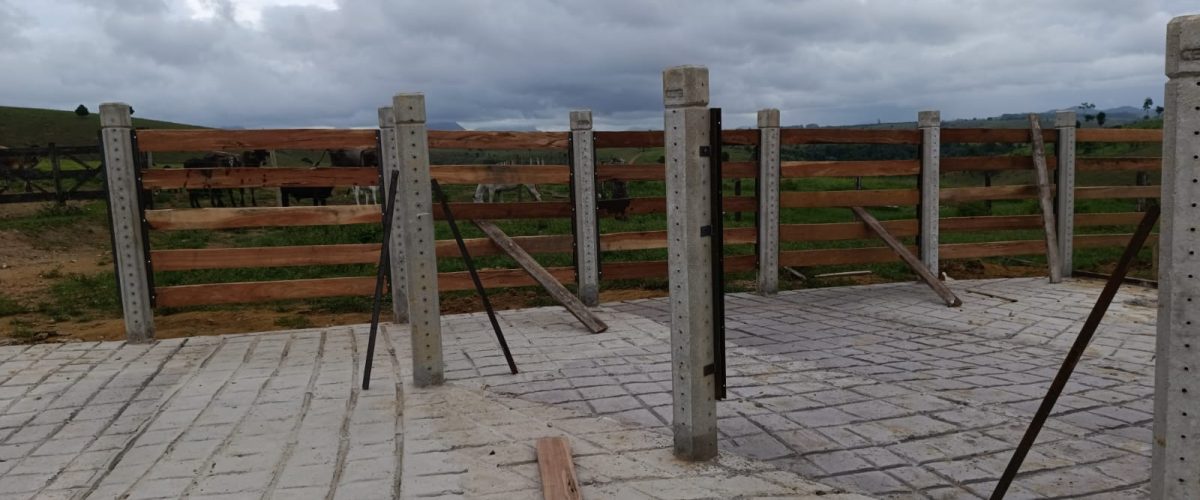 WhatsApp Image 2026-01-21 at 13.33.28