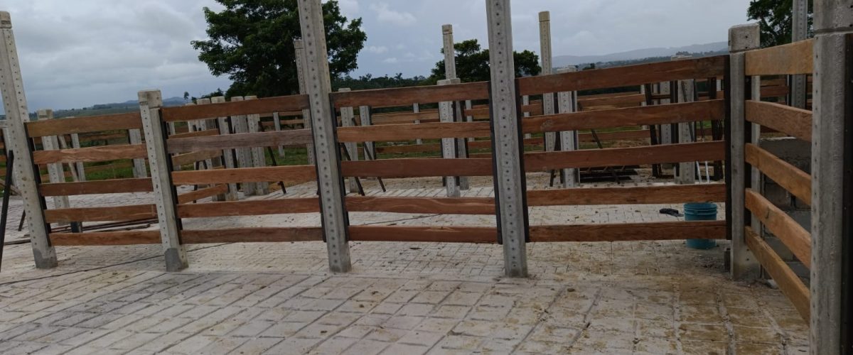 WhatsApp Image 2026-01-21 at 13.33.30