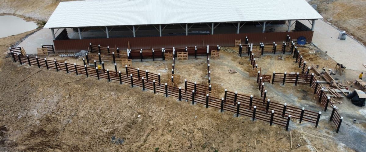 WhatsApp Image 2026-01-21 at 20.08.21