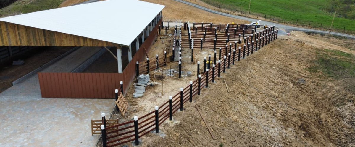 WhatsApp Image 2026-01-21 at 20.08.22 (1)