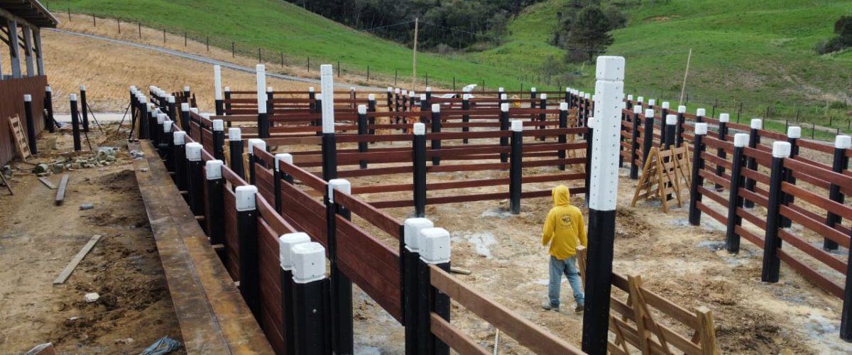 WhatsApp Image 2026-01-21 at 20.08.22