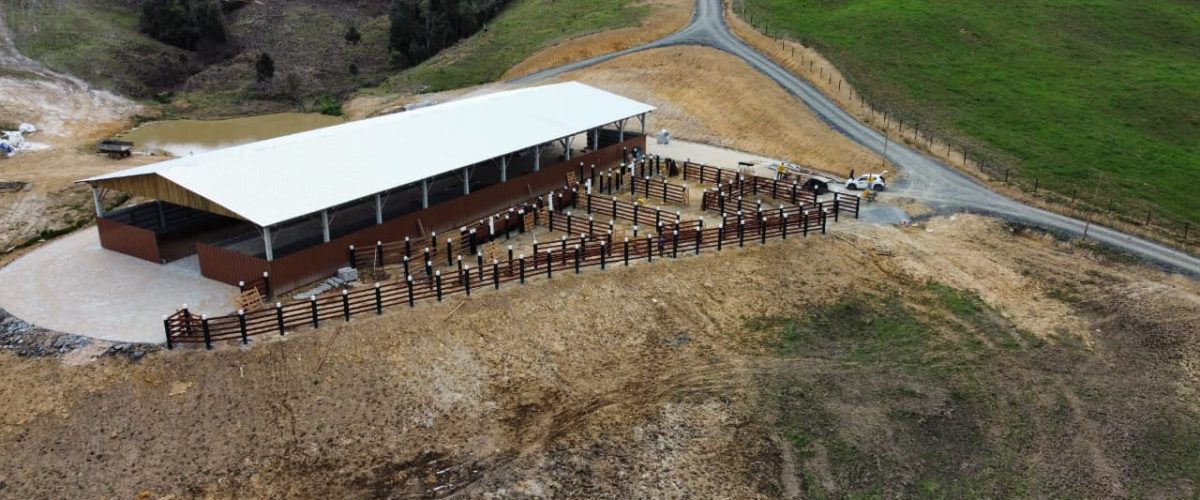 WhatsApp Image 2026-01-21 at 20.08.23 (2)