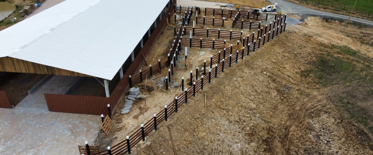 WhatsApp Image 2026-01-21 at 20.08.23