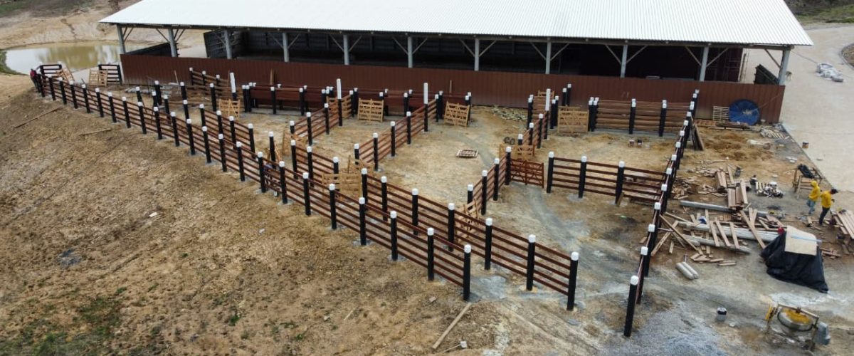 WhatsApp Image 2026-01-21 at 20.08.24