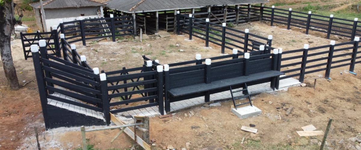 WhatsApp Image 2026-01-21 at 20.34.57 (1)