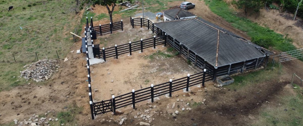 WhatsApp Image 2026-01-21 at 20.34.59 (1)