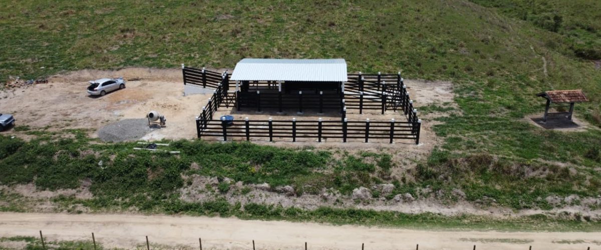 WhatsApp Image 2026-01-21 at 20.42.28 (1)