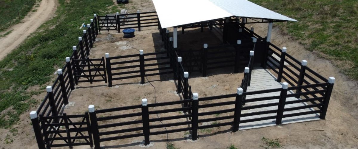 WhatsApp Image 2026-01-21 at 20.42.28 (2)