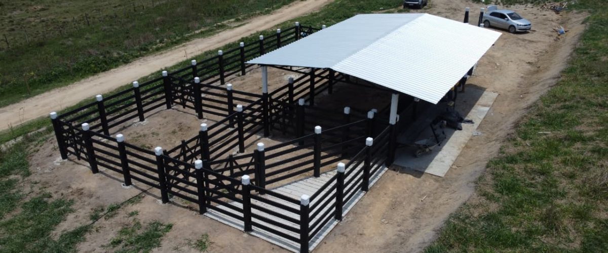 WhatsApp Image 2026-01-21 at 20.42.28