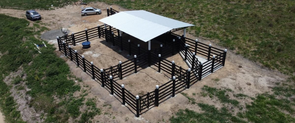 WhatsApp Image 2026-01-21 at 20.42.29