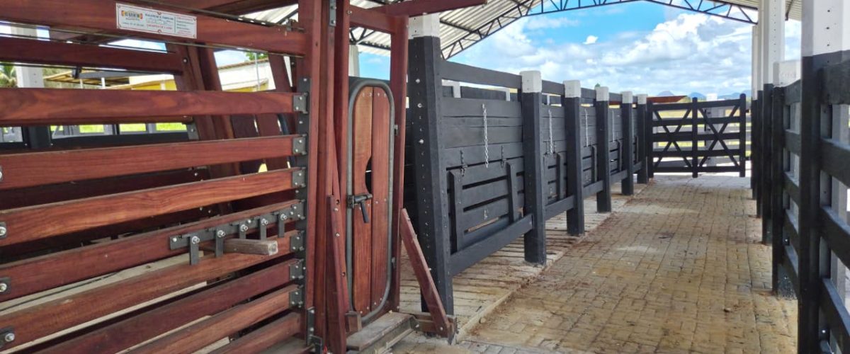 WhatsApp Image 2026-04-18 at 21.12.25 (1)