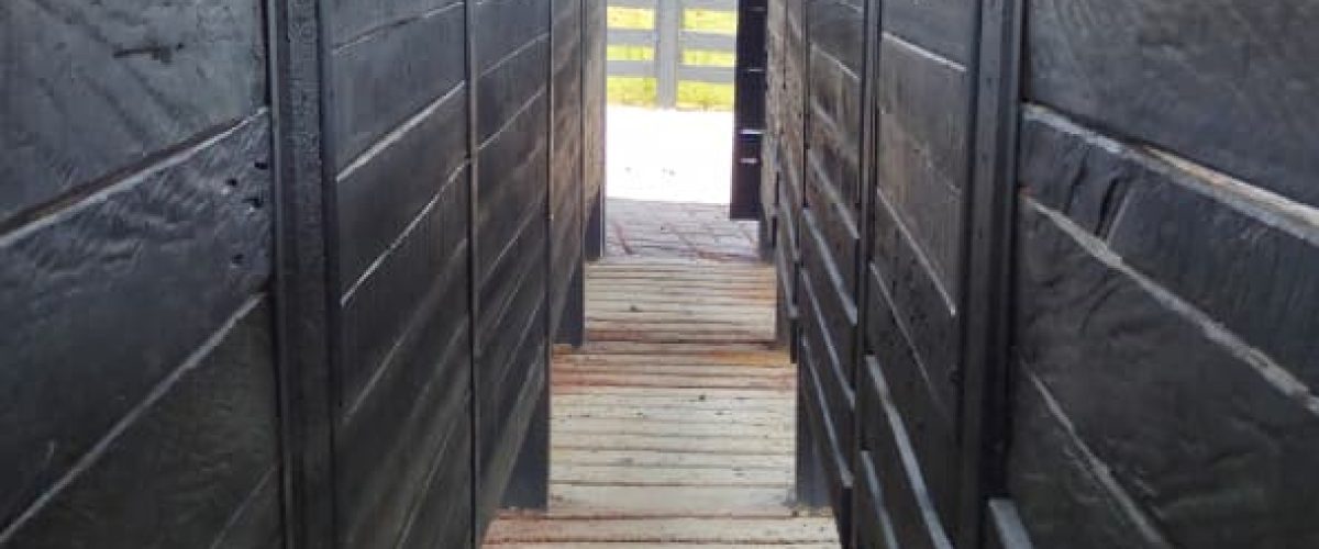 WhatsApp Image 2026-04-18 at 21.12.26 (1)