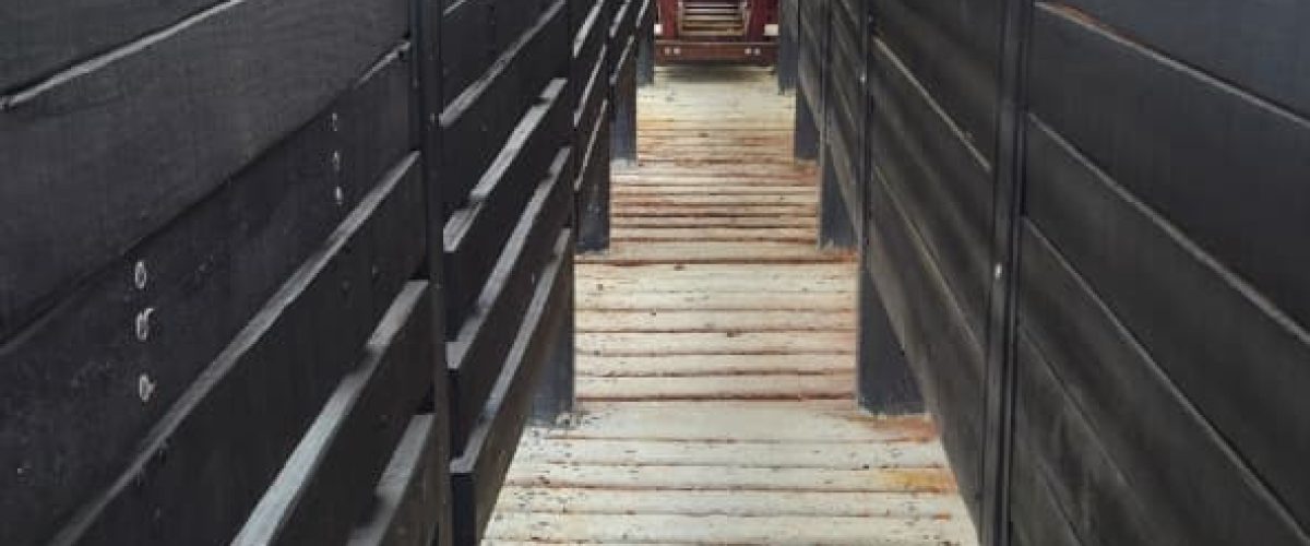 WhatsApp Image 2026-04-18 at 21.12.26