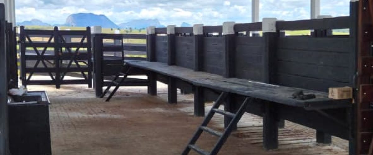 WhatsApp Image 2026-04-18 at 21.12.27 (1)