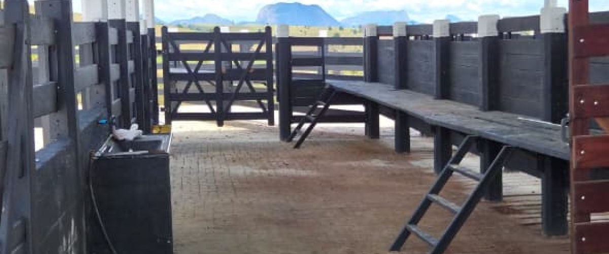 WhatsApp Image 2026-04-18 at 21.12.27