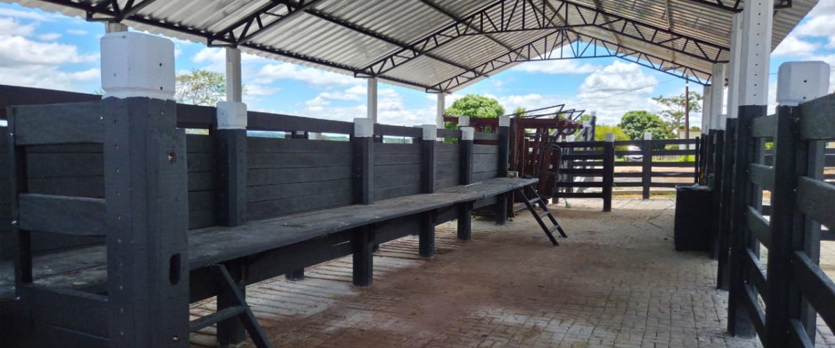 WhatsApp Image 2026-04-18 at 21.12.28 (1)