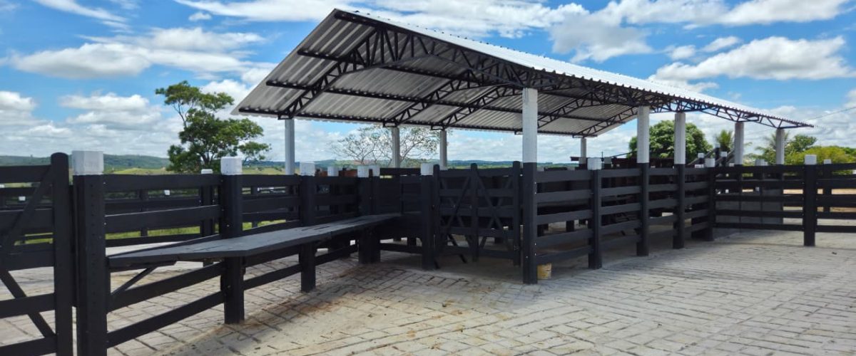 WhatsApp Image 2026-04-18 at 21.12.28 (2)