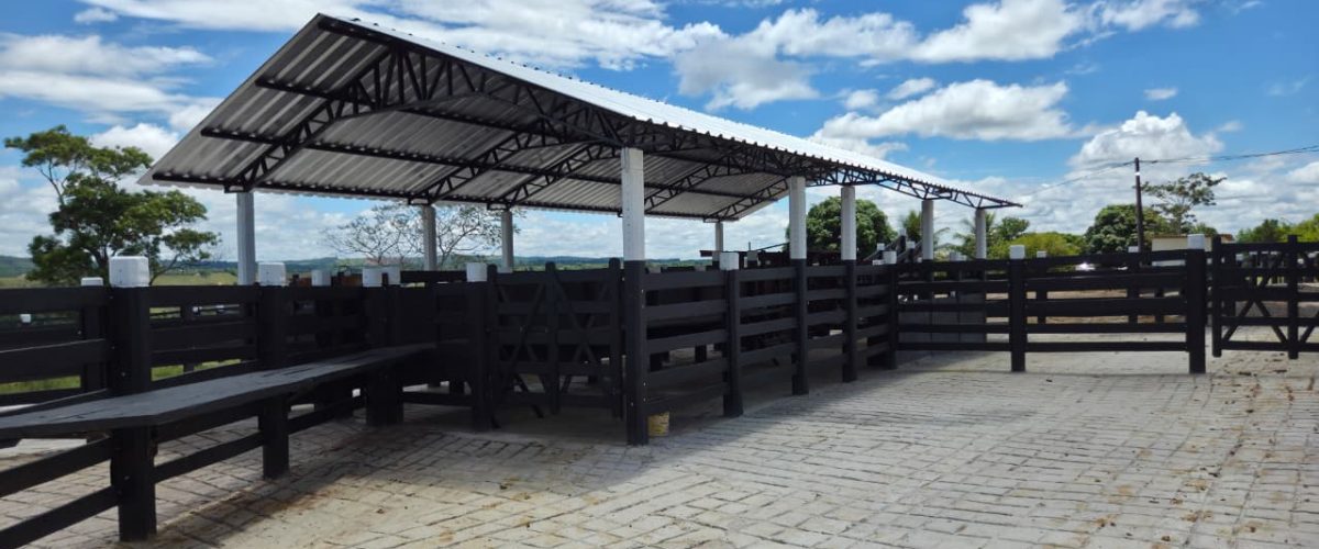 WhatsApp Image 2026-04-18 at 21.12.28 (3)