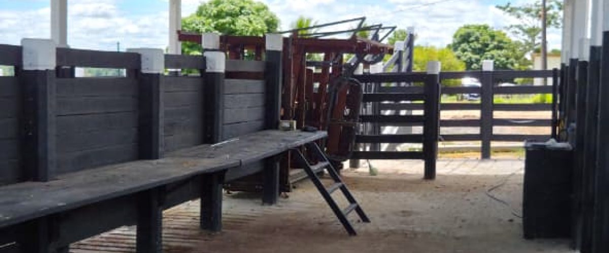 WhatsApp Image 2026-04-18 at 21.12.28