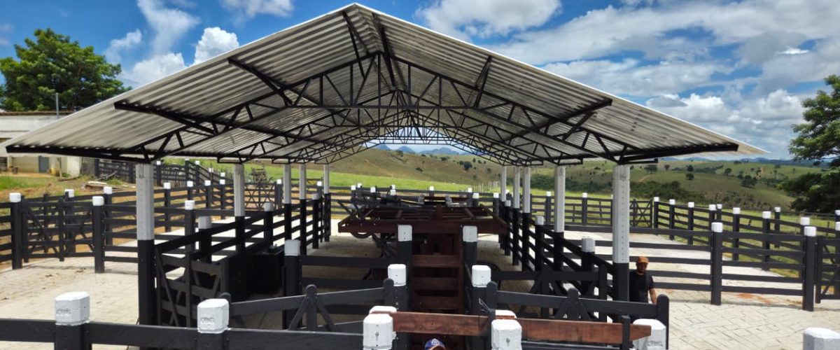 WhatsApp Image 2026-04-18 at 21.12.29