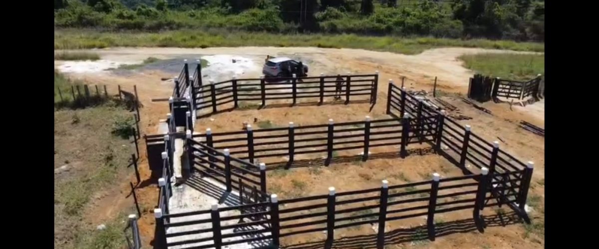 WhatsApp Image 2026-04-18 at 21.27.10